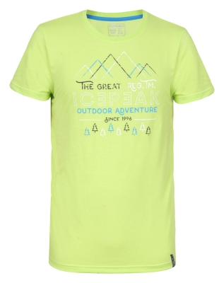 Футболка ICEPEAK Shawn