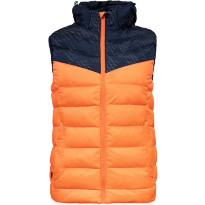 Sport & Moda / Жилет 20A12-1