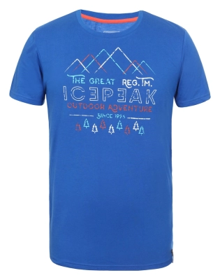 Icepeak / Футболка спортивная Shawn