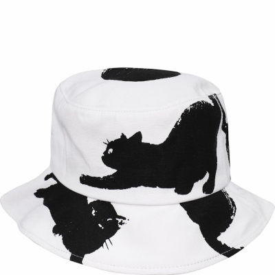 PAC HEAD / Панама 1456