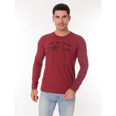Chic and Charisma / Свитшот 00359