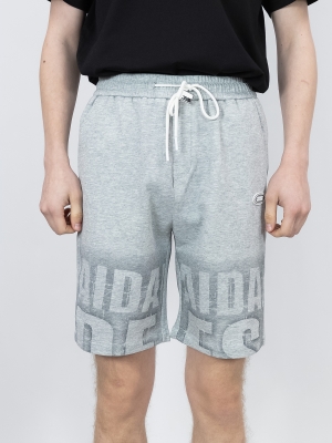 Sport & Moda / Шорты LKD_6956