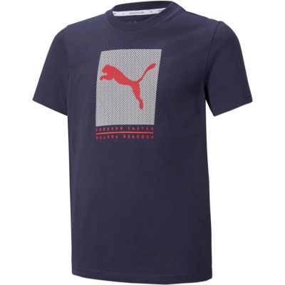 Puma / Футболка спортивная Active Sports Graphic Tee 846993_06