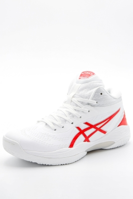 Asics / Кроссовки Gelhoop V14 Basketball 1063A060-104