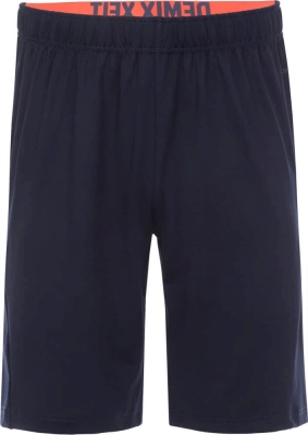 Demix / Шорты спортивные