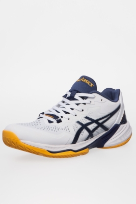 Asics / Кроссовки SKY ELITE FF 2 1051A064-103
