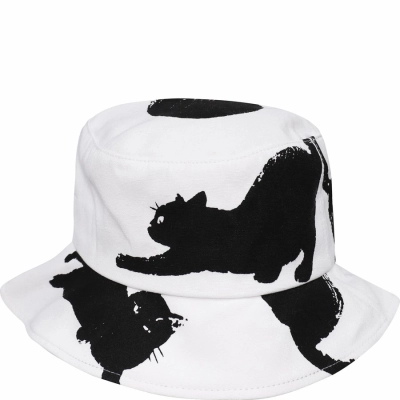 PAC HEAD / Панама