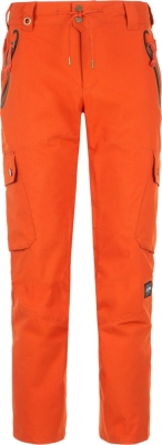 Termit / Брюки горнолыжные