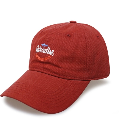 PAC HEAD / Бейсболка 1029