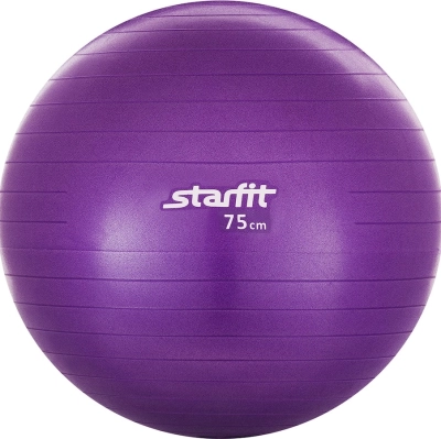 Бренд не указан / Фитбол 