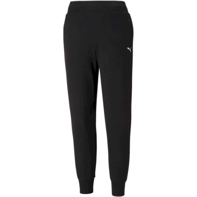 Puma / Брюки спортивные Essentials Sweatpants TR cl 586842_51