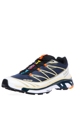 Salomon / Кроссовки XT-6 ADVANCED L4062110029