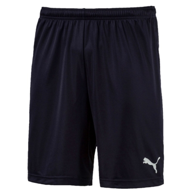 Puma / Шорты спортивные ftblPLAY Shorts