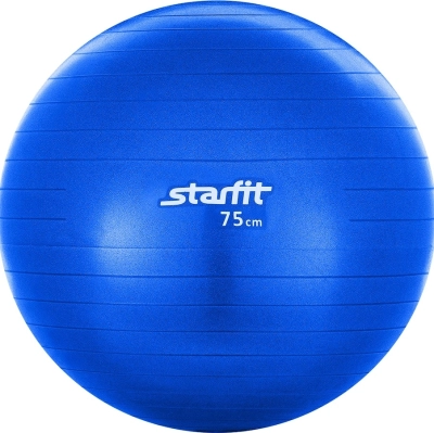 Бренд не указан / Фитбол 