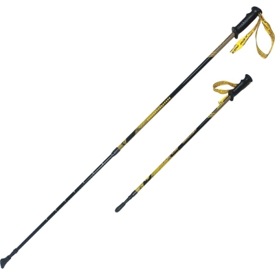 RGX / Палки для скандинавской ходьбы, двухсекционные. NWS-120