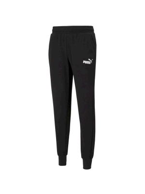 Брюки спортивные Puma Essentials Logo Pants TR CL