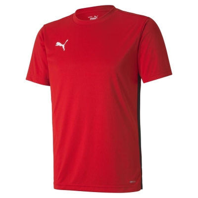 Puma / Футболка спортивная ftblPLAY Shirt