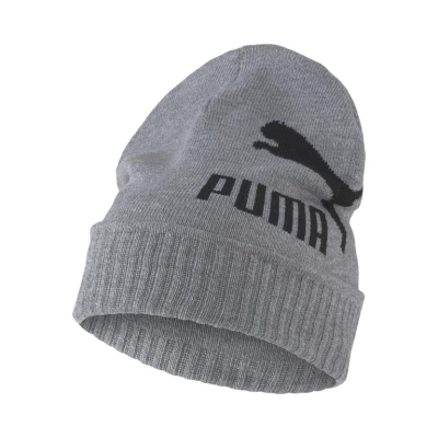 Puma / Шапка Archive Logo Beanie 022849_04