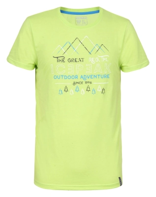 Icepeak / Футболка спортивная Shawn