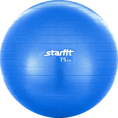 Бренд не указан / Фитбол 