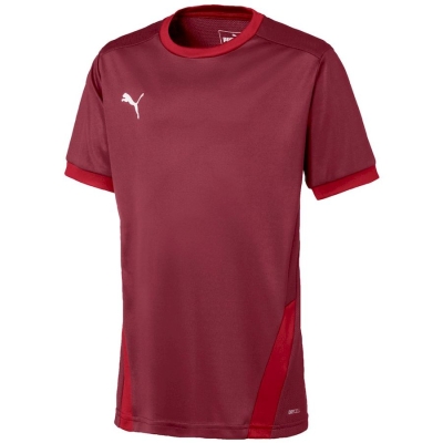 Puma / Футболка teamGOAL 23 Jersey jr 704160_09