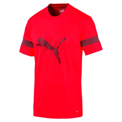 Puma / Футболка спортивная ftblPLAY Logo Tee