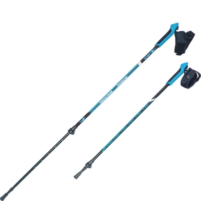 RGX / Палки для скандинавской ходьбы, двухсекционные