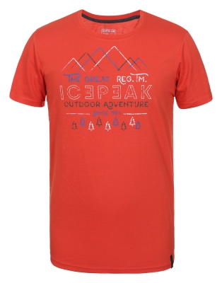 Icepeak / Футболка спортивная Shawn 9-57757-689-I-490