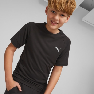 Puma / Футболка EVOSTRIPE Tee 67318701