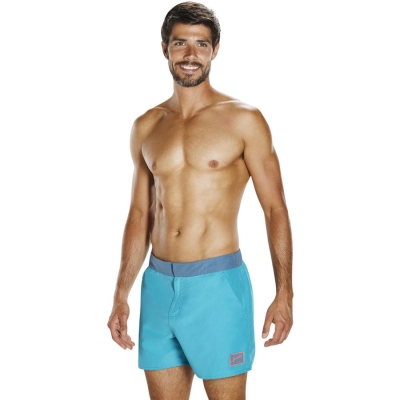 Speedo / Шорты плавательные Vintage Contrast 14 8-11368C190