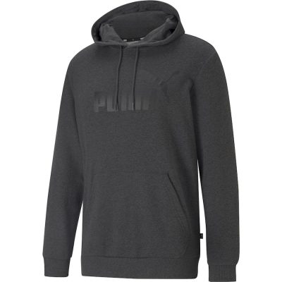 Худи ESS Big Logo Hoodie TR