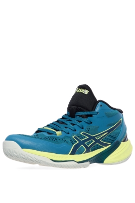 Asics / Кроссовки SKY ELITE FF MT 2 1051A065-100