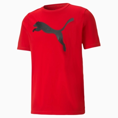 Puma / Футболка ACTIVE Big Logo Tee