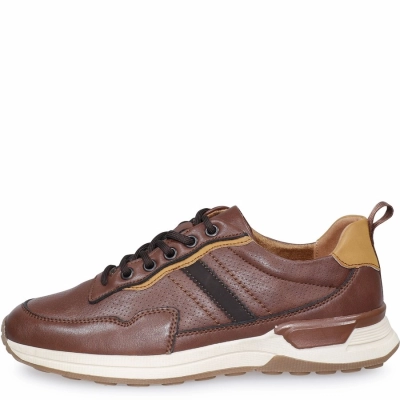 Тофа / Кроссовки