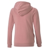 Puma / Толстовка Ess+ Hooded Sweat Jacket 582558_16