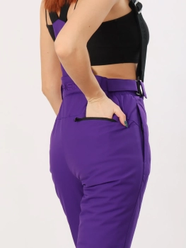 High Experience / Брюки горнолыжные  / сноубордические