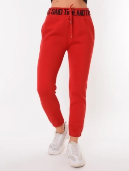 Chic and Charisma / Брюки спортивные Chic and Charisma / Брюки спортивные