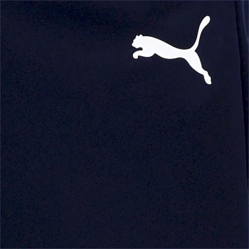 Puma / Брюки спортивные ACTIVE Tricot Pants cl Puma / Брюки спортивные ACTIVE Tricot Pants cl