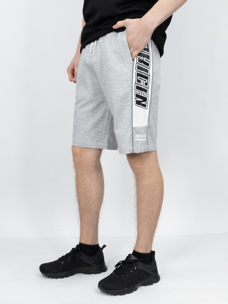 Sport & Moda / Шорты LKD_6955