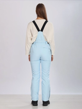 High Experience / Брюки горнолыжные  / сноубордические High Experience / Брюки горнолыжные  / сноубордические