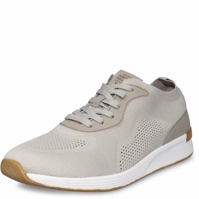 Тофа / Кроссовки