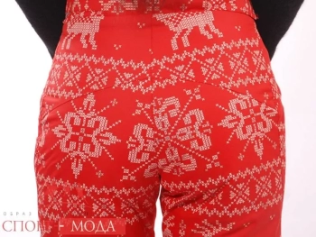 Stayer / Брюки горнолыжные Stayer