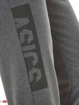 Asics / Брюки спортивные ESNT GPX Knit