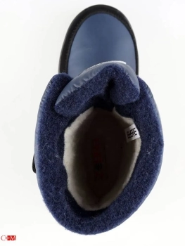 Зебра / Сапоги