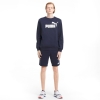 Puma / Свитшот Essentials Big Logo Crew Neck Men's Sweater 586678_06