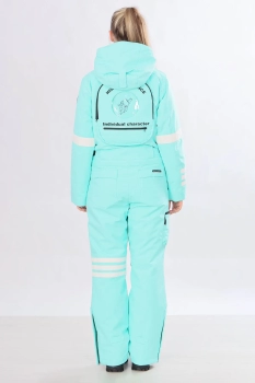 High Experience / Комбинезон горнолыжный High Experience / Комбинезон горнолыжный
