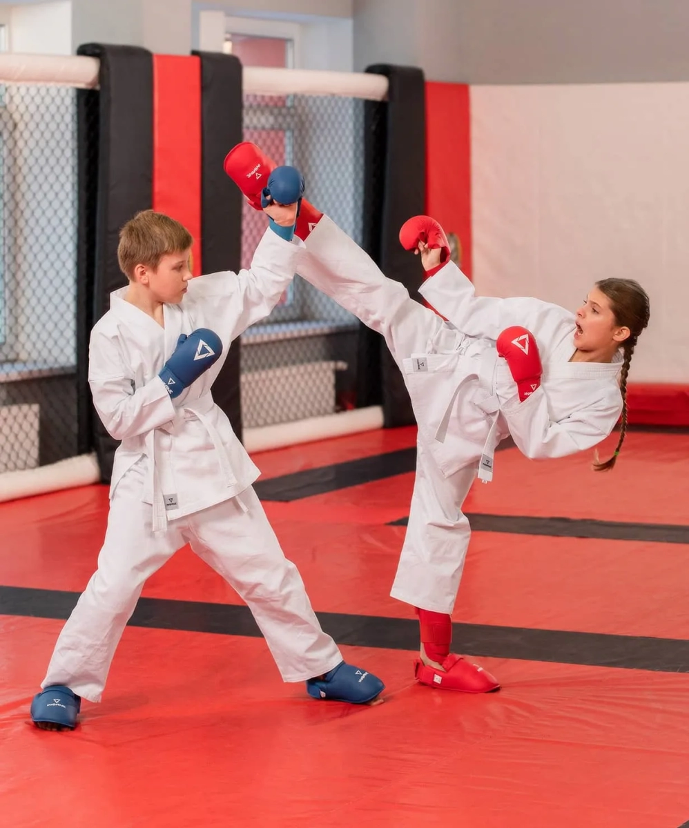 Insane / Кимоно для карате START, хлопок, белый Insane / Кимоно для карате START, хлопок, белый