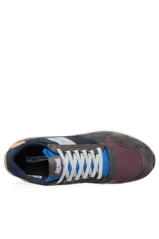 (050466672484mdvimkcf1710460800-3.jpg) (050466672484mdvimkcf1710460800-3.jpg)