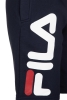 Fila / Шорты 107380-Z3