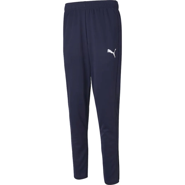 Брюки спортивные ACTIVE Tricot Pants cl